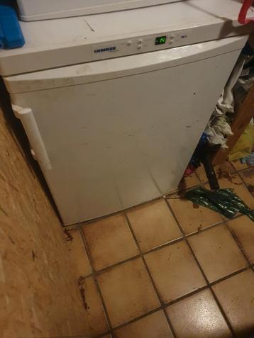 Vriezer 60 cm overbodig geworden