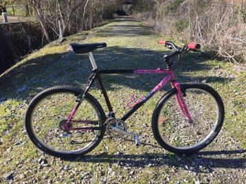 Giant Terrago vintage mountainbike