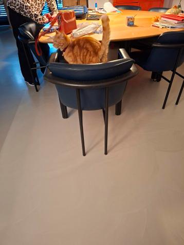 Leolux leren eetkamerstoelen - comfortabel!