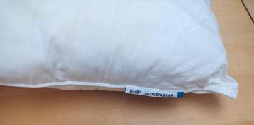 Twee hoofdkussen Gratis