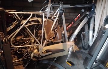 Diverse fietsen: Batavus, Gazelle, Giant, Sparta