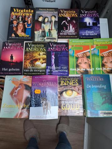 Doos boeken, o.a. jill mansell, virginia andrews