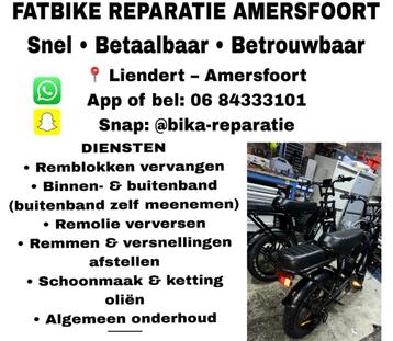 Fatbike Reparatie Amersfoort – Remmen, Banden & Onderhoud