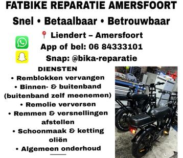 Fatbike Reparatie Amersfoort – Remmen, Banden & Onderhoud