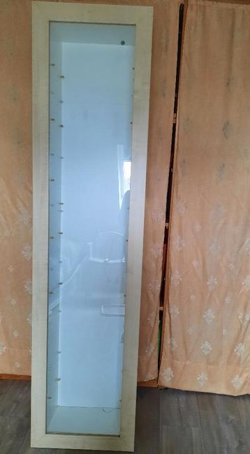 Vitrinekast (hangend)