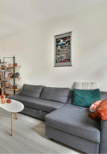 Ikea Friheten hoekbank slaapbank - gratis ophalen