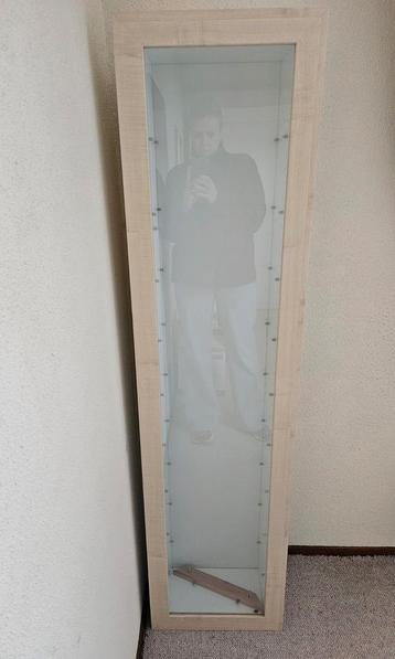 Vitrine kast