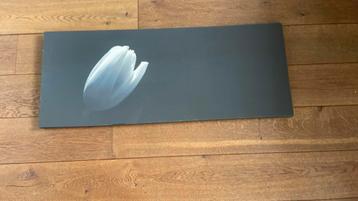 Gratis canvas witte tulp