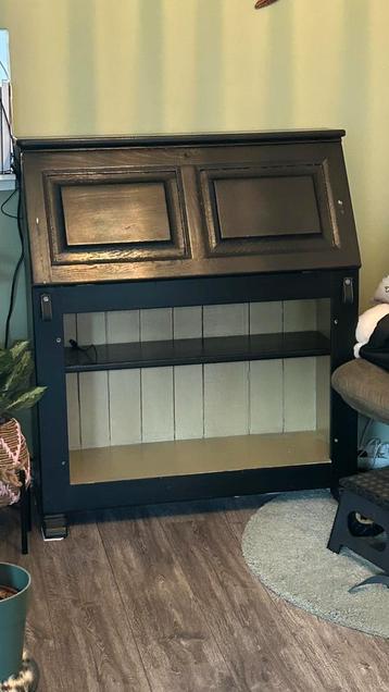 Zwarte secretaire.