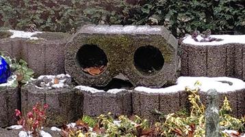 20 Sierstenen 50 x 20 x20 cm