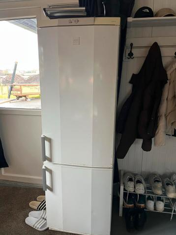 AEG Electrolux SANTO Koelkast met Vriesgedeelte - koelvries