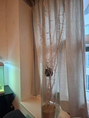 Vaas met takken en verlichting - gratis!