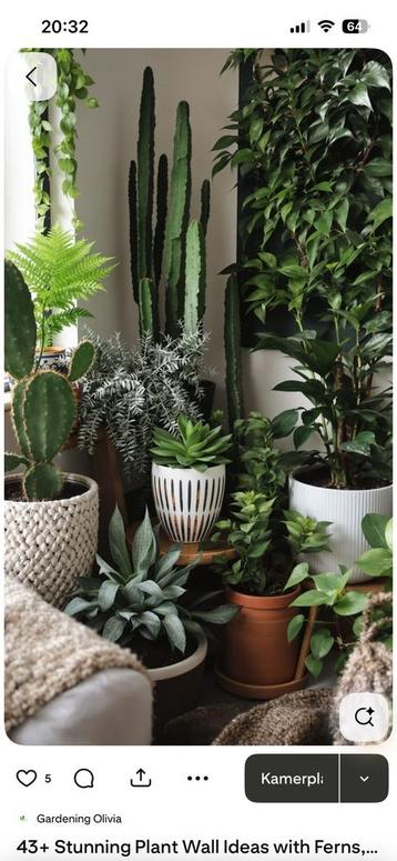 Opzoek naar gratis planten