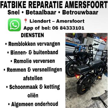 Fatbike Reparatie Amersfoort – Remmen, Banden & Onderhoud