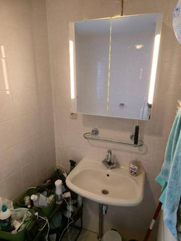 Badkamer gratis (toilet, radiator, wastafel, bad)