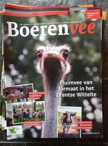 Boerenvee tijdschrift