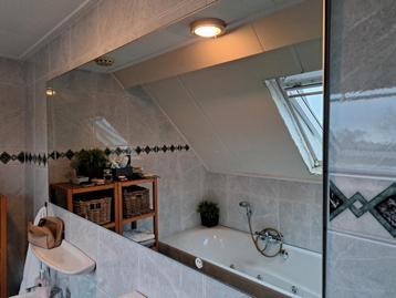 Badkamerspiegel 70 x 160 cm