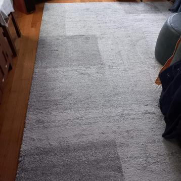 GERESERVEERD Mooie wit-grijs vloerkleed voor Gratis ophalen