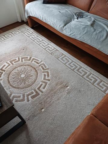 Vloerkleed 2.30 bij 1.60