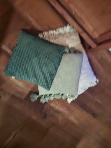 Gratis 3 sierkussens