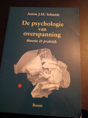A.J.M. Schmidt - De psychologie van overspanning