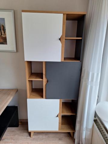 Moderne kast met deuren en planken