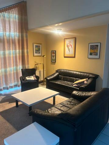 Gratis leren banken, fauteuil, eethoek