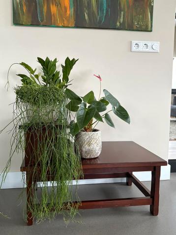 Vintage bijzettafel kersenhout GRATIS