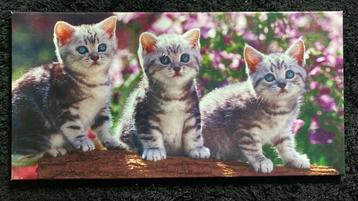 Schilderij met poesjes
