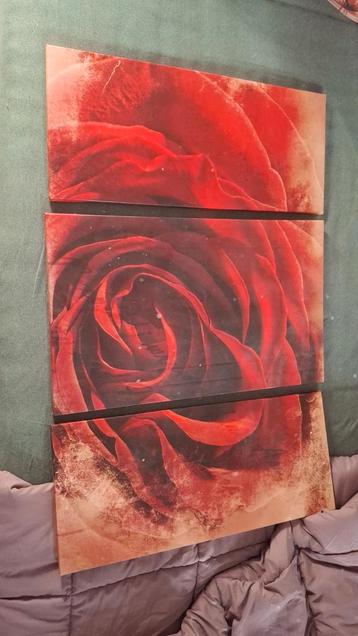 Luik schilderij met roos - gratis af te halen