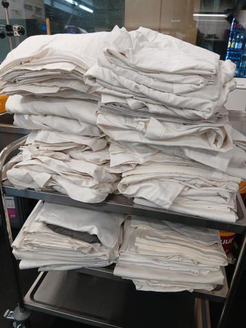 ALLEEN VANDAAG TOT 16.00u Gratis af te halen!