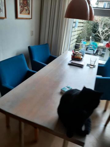 Gratis lange eettafel