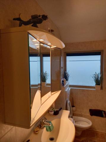 spiegel - gratis af te halen