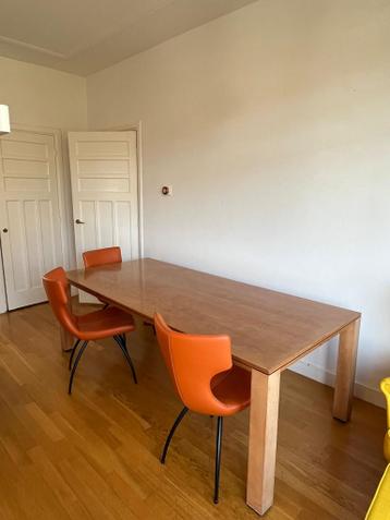 Gratis Af te Halen Tafel 220 x 100