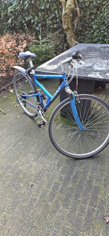 Giant Dames Racefiets met Vering - Gebruikt