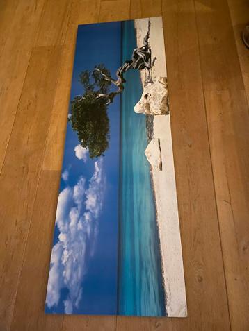 Mooie foto prent (52x157cm)