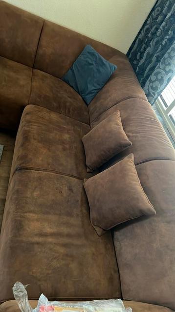 Hoekbank af te halen tegen mooie palmplant