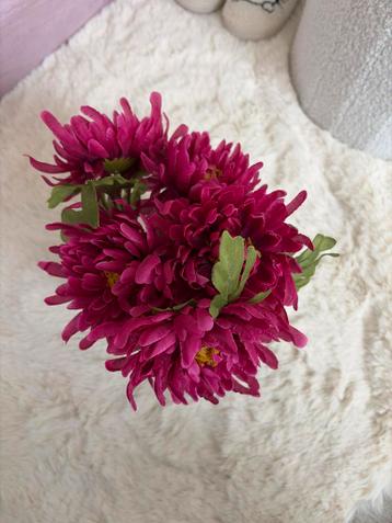 Nep Chrysanten Plantje