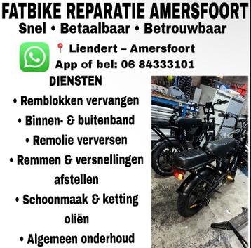 Fatbike Reparatie Amersfoort – Remmen, Banden & Onderhoud