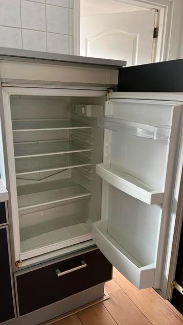 Pelgrim inbouwkoelkast