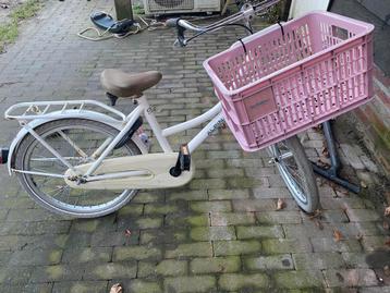 Alpina fietjes 20 inch met mand