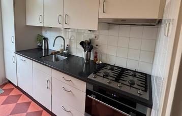 Aanrechtblad composiet gepolijst met kookplaat 233x61 cm