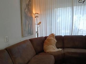 Gratis leren hoekbank