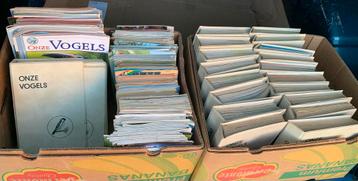 Gratis Jaargangen Onze Vogels