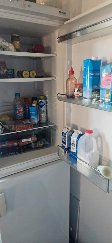 Grote Koelkast - Lichte Gebruiksschade