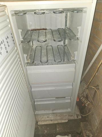 Gratis diepvrieskisten