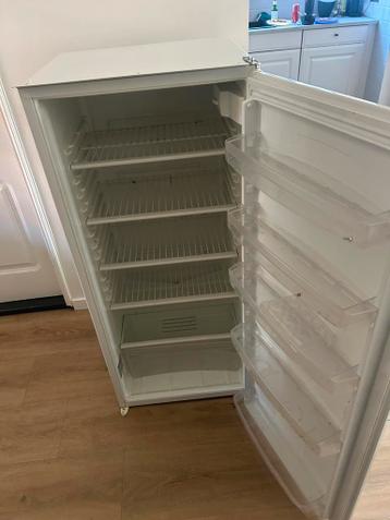 GRATIS - Pelgrim inbouwkoelkast - nette staat, 122.5cm hoog