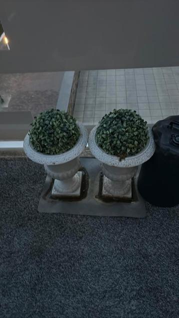 2 kunstplanten met stenen pot GRATIS