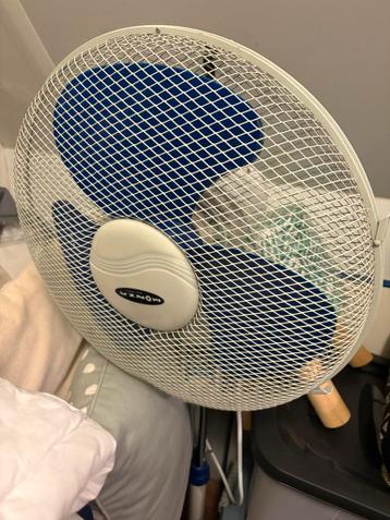 Gratis Staande Ventilator - Perfect voor de Zomer!