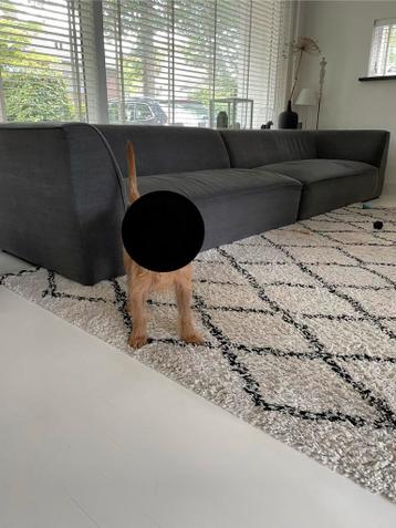 Gratis af te halen Wehkamp vierzits bank - Gebruikt